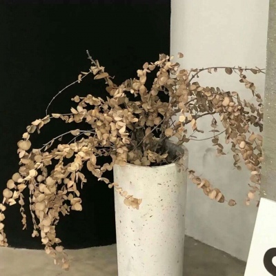 Furry绘画质感灵感FurryQQ群